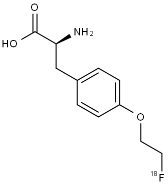 Fet F18 Structure