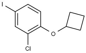 2-chloro-1-cyclobutoxy-4-iodobenzene Structure