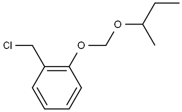 1-(sec-butoxymethoxy)-2-(chloromethyl)benzene Structure