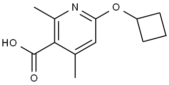 6-(Cyclobutyloxy)-2,4-dimethyl-3-pyridinecarboxylic acid Structure