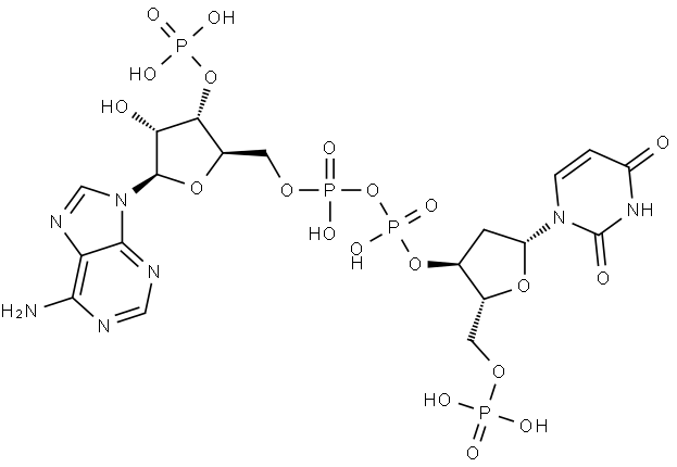 Adenosine 5'-(trihydrogen diphosphate), 3'-(dihydrogen phosphate), P'→3'-ester with 2'-deoxy-5'-uridylic acid Structure