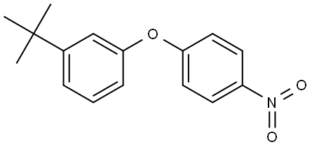 1-(tert-butyl)-3-(4-nitrophenoxy)benzene Structure