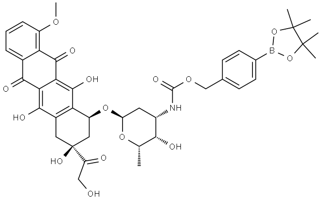 5,12-Naphthacenedione, 7,8,9,10-tetrahydro-6,8,11-trihydroxy-8-(2-hydroxyacetyl)-1-methoxy-10-[[2,3,6-trideoxy-3-[[[[4-(4,4,5,5-tetramethyl-1,3,2-dioxaborolan-2-yl)phenyl]methoxy]carbonyl]amino]-α-L-lyxo-hexopyranosyl]oxy]-, (8S,10S)- Structure