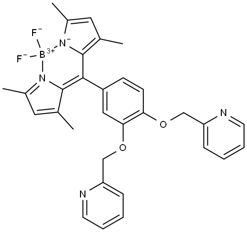 BIP Structure