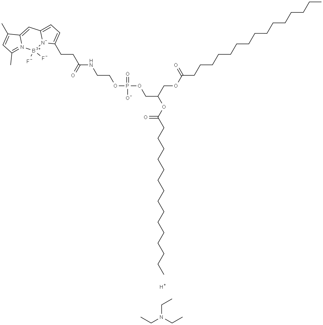 BODIPY FL-DHPE Structure