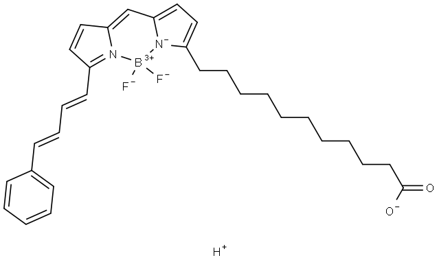 BODIPY 581/591 C11 Structure