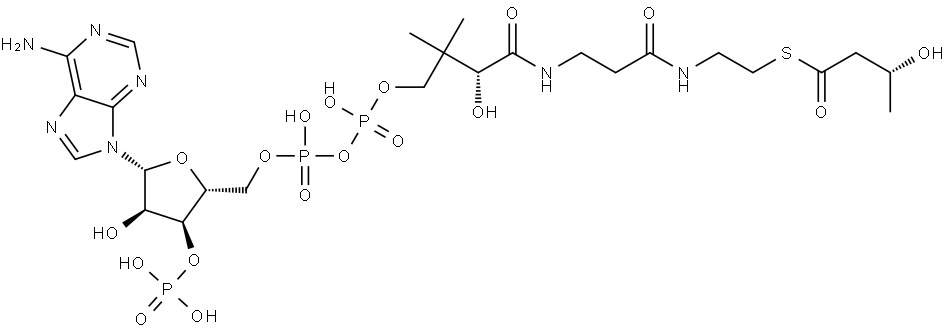 Coenzyme A, S-[(3R)-3-hydroxybutanoate] Structure