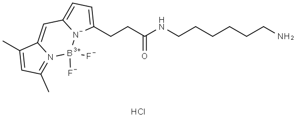 BDP FL amine Structure