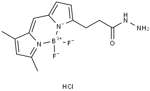 BDP FL hydrazide Structure