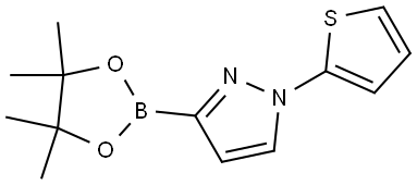 1-(2-Thienyl)-1H-pyrazole-3-boronic acid pinacol ester 구조식 이미지
