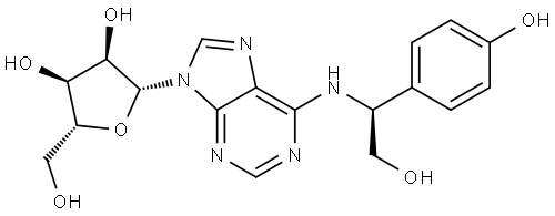 INDEX NAME NOT YET ASSIGNED Structure