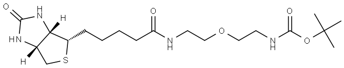 INDEX NAME NOT YET ASSIGNED Structure