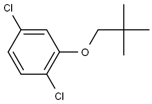 1,4-Dichloro-2-(2,2-dimethylpropoxy)benzene Structure