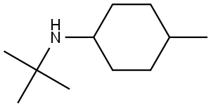 N-(tert-butyl)-4-methylcyclohexanamine Structure