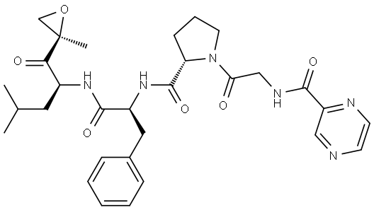 INDEX NAME NOT YET ASSIGNED Structure