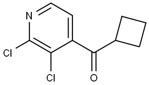 cyclobutyl(2,3-dichloropyridin-4-yl)methanone Structure