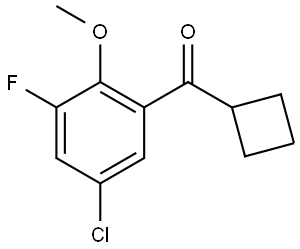 (5-Chloro-3-fluoro-2-methoxyphenyl)cyclobutylmethanone Structure