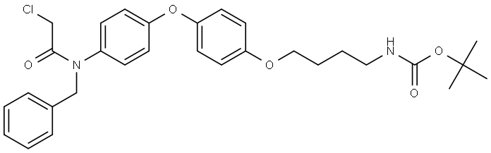 INDEX NAME NOT YET ASSIGNED Structure