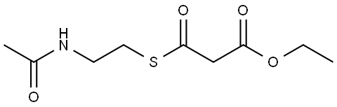 INDEX NAME NOT YET ASSIGNED Structure