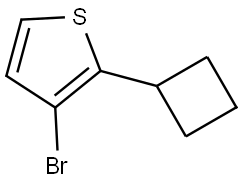 3-bromo-2-cyclobutylthiophene 구조식 이미지