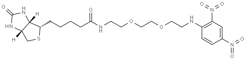 5-[(3aS,4S,6aR)-2-oxo-hexahydro-1H-thieno[3,4-d]imidazol-4-yl]-N-[2-(2-{2-[(2,4-dinitrophenyl)amino]ethoxy}ethoxy)ethyl]pentanamide Structure