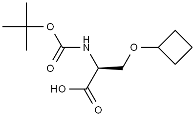 INDEX NAME NOT YET ASSIGNED Structure