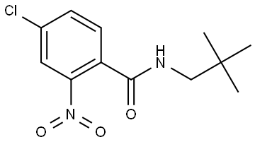 4-chloro-N-neopentyl-2-nitrobenzamide Structure