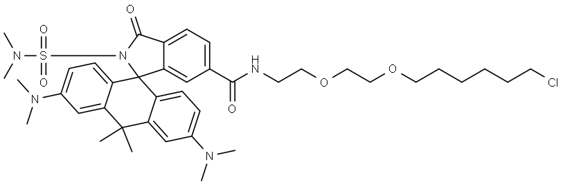 INDEX NAME NOT YET ASSIGNED Structure