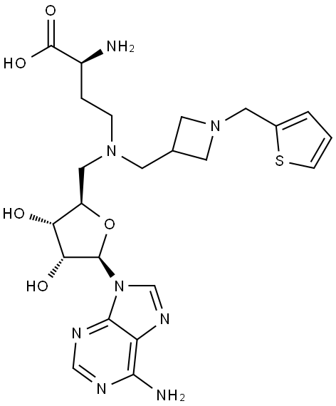 INDEX NAME NOT YET ASSIGNED Structure