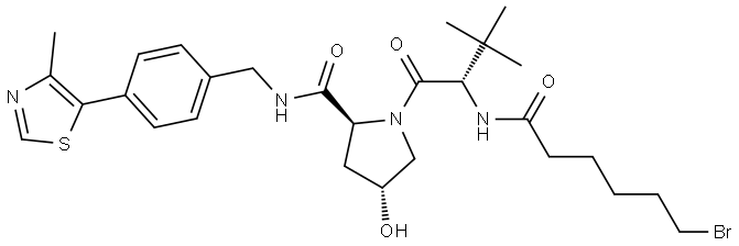 INDEX NAME NOT YET ASSIGNED Structure