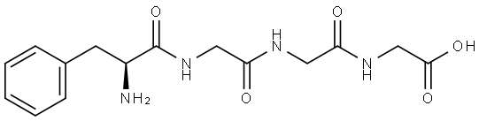 Phe-Gly-Gly-Gly Structure