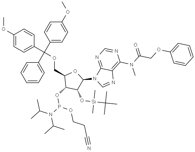 INDEX NAME NOT YET ASSIGNED Structure