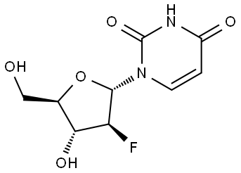 INDEX NAME NOT YET ASSIGNED Structure