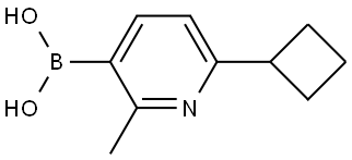 (6-cyclobutyl-2-methylpyridin-3-yl)boronic acid Structure