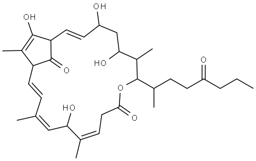 9-Oxabicyclo[17.2.1]docosa-2,12,15,17,20-pentaene-10,22-dione, 4,6,14,21-tetrahydroxy-7,13,16,20-tetramethyl-8-(1-methyl-4-oxoheptyl)- Structure