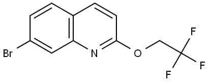 7-Bromo-2-(2,2,2-trifluoroethoxy)quinoline Structure