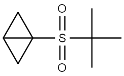 1-[(1,1-Dimethylethyl)sulfonyl]bicyclo[1.1.0]butane Structure