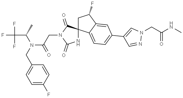 iP300v Structure