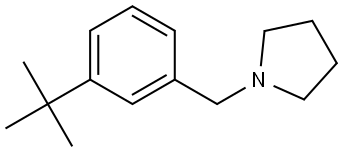 1-[[3-(1,1-Dimethylethyl)phenyl]methyl]pyrrolidine Structure