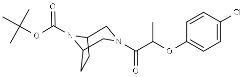 NA Structure