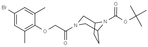 NA Structure