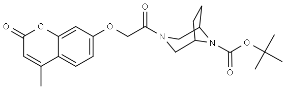 NA Structure