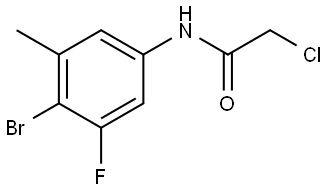 N-(4-Bromo-3-fluoro-5-methylphenyl)-2-chloroacetamide Structure