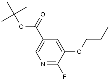 tert-butyl 6-fluoro-5-propoxynicotinate 구조식 이미지