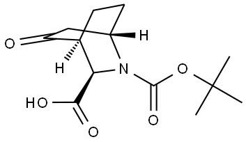 (1S,3R,4S)-2-tert-butoxycarbonyl-5-oxo-2-azabicyclo[2.2.2]octane-3-carboxylic acid 구조식 이미지