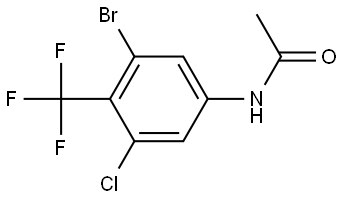 Acetamide, N-[3-bromo-5-chloro-4-(trifluoromethyl)phenyl]- Structure