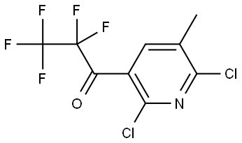 1-(2,6-dichloro-5-methylpyridin-3-yl)-2,2,3,3,3-pentafluoropropan-1-one Structure