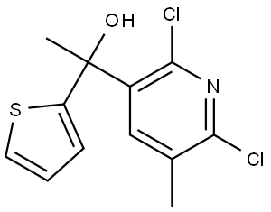 1-(2,6-dichloro-5-methylpyridin-3-yl)-1-(thiophen-2-yl)ethanol Structure