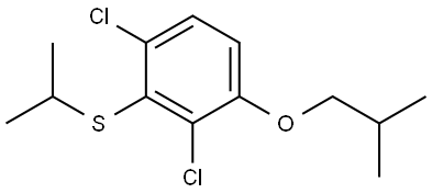 (2,6-dichloro-3-isobutoxyphenyl)(isopropyl)sulfane Structure