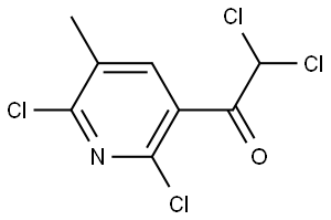 2,2-dichloro-1-(2,6-dichloro-5-methylpyridin-3-yl)ethanone 구조식 이미지